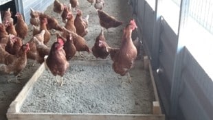 Den heimischen Landwirten drohen strenge Auflagen.