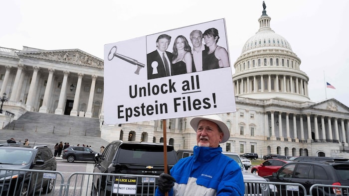 Werden tatsächlich alle Epstein-Unterlagen veröffentlicht, wie es dieser Demonstrant vor dem ...