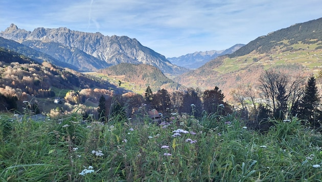 Blick Richtung Bitschweil in Richtung Latschau.