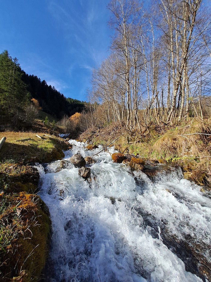 Ein Wildbach.