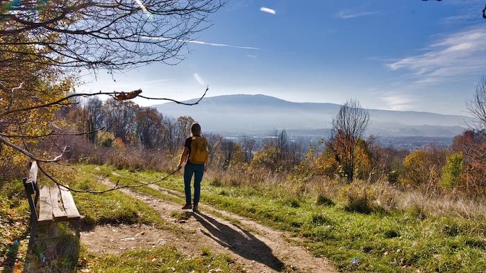 Unmittelbar nach dem Stadtpark findet sich der Einstieg zum Wanderweg mit herrlichen Ausblicken.