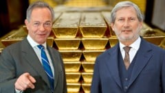 Die „goldenen Jahre“ ihre Karrieren haben Treichl und Hahn hinter sich – nun ruft wohl ein neues ...