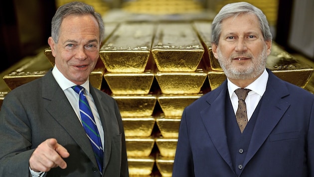 Die „goldenen Jahre“ ihre Karrieren haben Treichl und Hahn hinter sich – nun ruft wohl ein neues ...