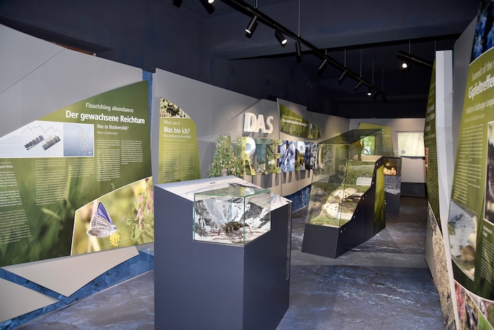 Eigene Nationalparkausstellung im Gemeindeamt
