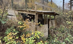 Die kleine „Wald-Immobilie“ wurde zum „Spielplatz“ einer (teuren) Behördenkomödie.
