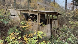 Die kleine „Wald-Immobilie“ wurde zum „Spielplatz“ einer (teuren) Behördenkomödie.