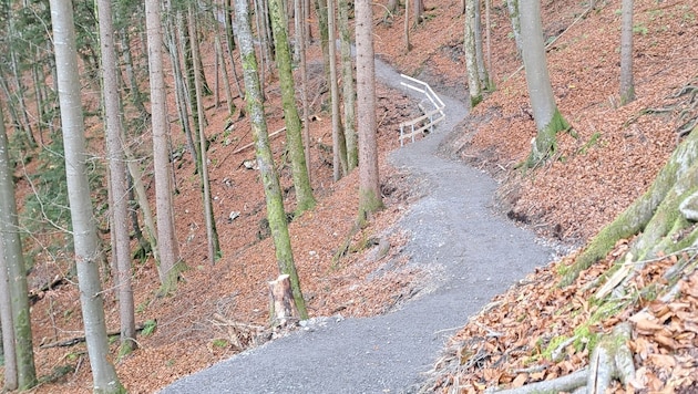 Der neu angelegte Wanderweg.