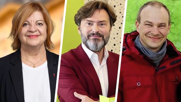 Elisabeth Mössmer- Cattalini: Botschafterin der Holzbänke. Ewald Lochner schafft seit Monaten ...