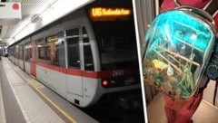 „Der hat wohl einen Vogel!“ – Immer wieder tauchen in sozialen Netzwerken Bilder von dem ...