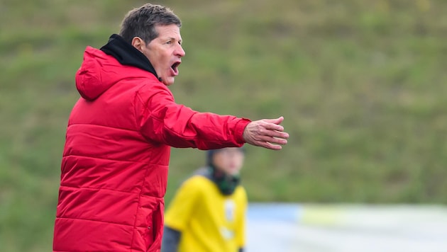 Andy Heraf und sein Team wollen bei den Young Violets das erste Mal siegen.