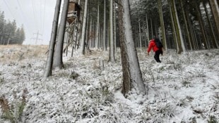 Die insgesamt 50 Bergretter klapperten sukzessive alle Forst- und Wanderwege ab.