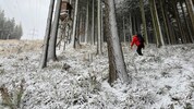 Die insgesamt 50 Bergretter klapperten sukzessive alle Forst- und Wanderwege ab.