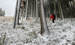 Die insgesamt 50 Bergretter klapperten sukzessive alle Forst- und Wanderwege ab.