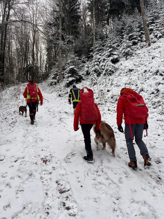 Teilweise führten die Suchteams auch Hunde mit sich. Gegen 15 Uhr wurde der Abgängige bei einem ...