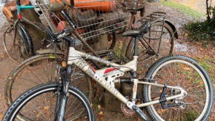 Ein Teil der Fundstücke aus dem Hilmteich.