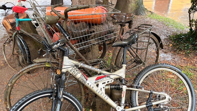 Ein Teil der Fundstücke aus dem Hilmteich.