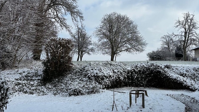 Der Schnee blieb auch in Laakirchen in Oberösterreich über Nacht liegen.