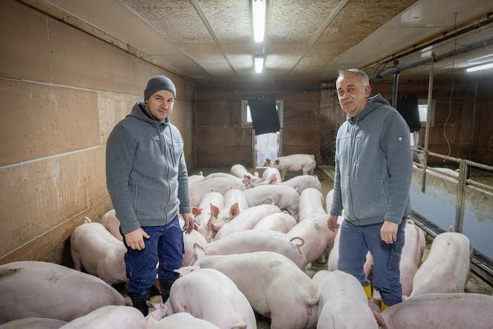 Franz Rauscher (re.) und sein Schwiegersohn Leopold arbeiten Hand in Hand für mehr Tierwohl.