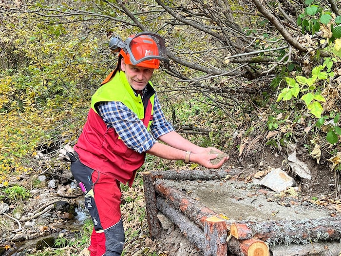 Baden im Sand – das lieben die scheuen Vögel: Georg zeigt eine sogenannte Huderstelle.