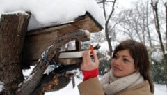 Im Vogelhaus geht es im Winter rund.