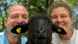 Bist du ein Schaf oder wie Andi und Elisabeth eine Ziege? Mach den Test und find es heraus! 