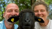 Bist du ein Schaf oder wie Andi und Elisabeth eine Ziege? Mach den Test und find es heraus! 