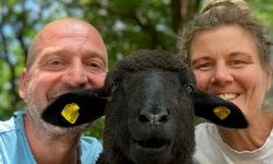 Bist du ein Schaf oder wie Andi und Elisabeth eine Ziege? Mach den Test und find es heraus! 