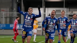 Hartberg war die effektivere Mannschaft gegen bemühte Rieder.