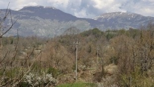 Weil sie mit ihren Kindern weit abgelegen ohne Strom und Wasser gelebt haben, könnten Eltern in ...