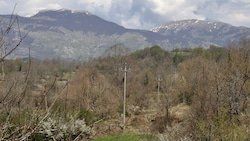 Weil sie mit ihren Kindern weit abgelegen ohne Strom und Wasser gelebt haben, könnten Eltern in ...
