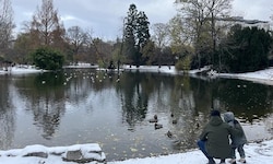 Am Sonntag tummelten sich zahlreiche Familien im Wiener Stadtpark. Für die kommende Woche ...