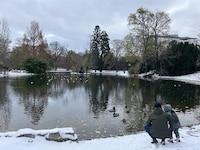 Am Sonntag tummelten sich zahlreiche Familien im Wiener Stadtpark. Für die kommende Woche ...