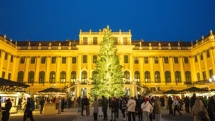 Vor Weihnachten tummeln sich viele Besucher auf dem Christkindlmarkt beim Schloss Schönbrunn.