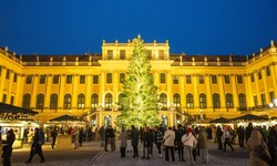 Vor Weihnachten tummeln sich viele Besucher auf dem Christkindlmarkt beim Schloss Schönbrunn.