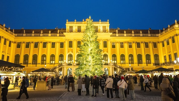 Vor Weihnachten tummeln sich viele Besucher auf dem Christkindlmarkt beim Schloss Schönbrunn.