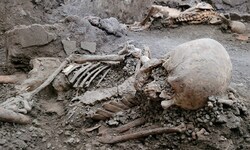 Ging Pompeji im August oder doch im November im Jahr 79 n. Chr. unter? Kleidungsfunde in den ...