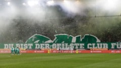 Bei Rapid schrillen die Alarmglocken!