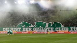 Bei Rapid schrillen die Alarmglocken!