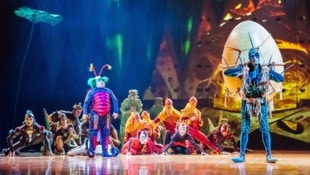 Kunterbunte Kostüme und atemberaubende Akrobatik in „Ovo“: So kennt man den Cirque du Soleil