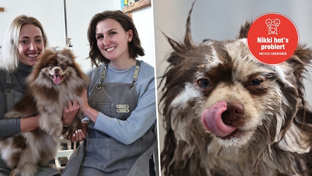 Tina Kindlhofer (li.) und „Krone“-Redakteurin Nicole Greiderer mit Zwergspitz Merlin