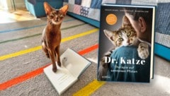 Therapiekater „Jonathan“ signiert leidenschaftlich gerne Bücher.