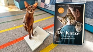 Therapiekater „Jonathan“ signiert leidenschaftlich gerne Bücher.