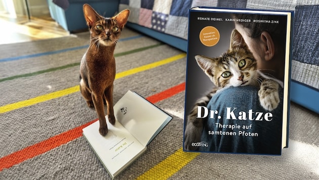 Therapiekater „Jonathan“ signiert leidenschaftlich gerne Bücher.