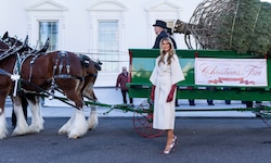 Jetzt glitzert’s im Weißen Haus! First Lady Melania Trump hat am Montag den offiziellen 2025 ...