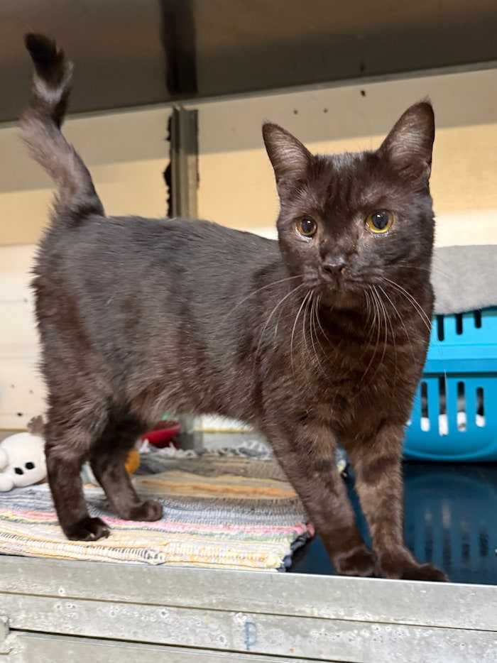 Liebevolle Aufnahme gesucht