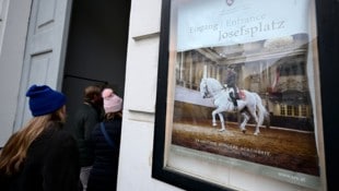 In der Hofreitschule wartet man ab, welche Impulse die neue Geschäftsführerin setzen wird.