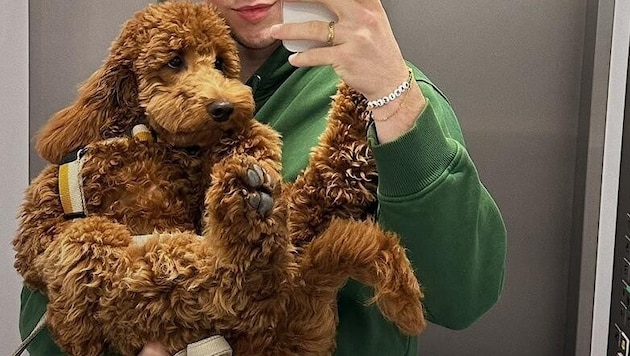 Benny Wizani mit Cockerpoo Bailey.