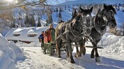 Mit der Pferdekutsche geht es zum Adventwanderweg. 