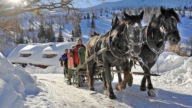 Mit der Pferdekutsche geht es zum Adventwanderweg.