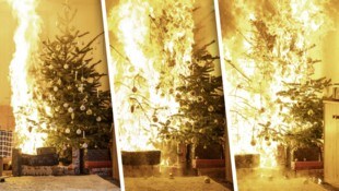 Unterschätzte Gefahr: Ein trockener Christbaum kann innerhalb von Sekunden zum Inferno im ...